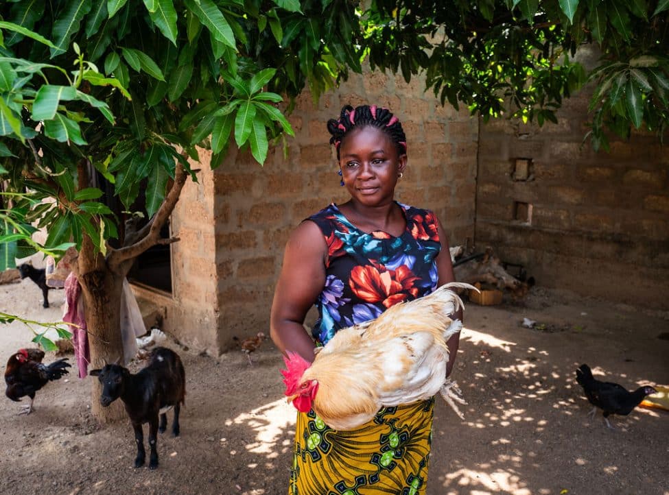 Veeteelt en vrouwenemancipatie in Benin